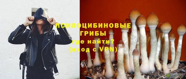 твердый Зерноград